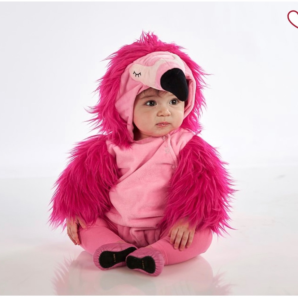 Pottery Barn Kids Flamingo Halloween
